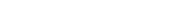 Elephant Skin